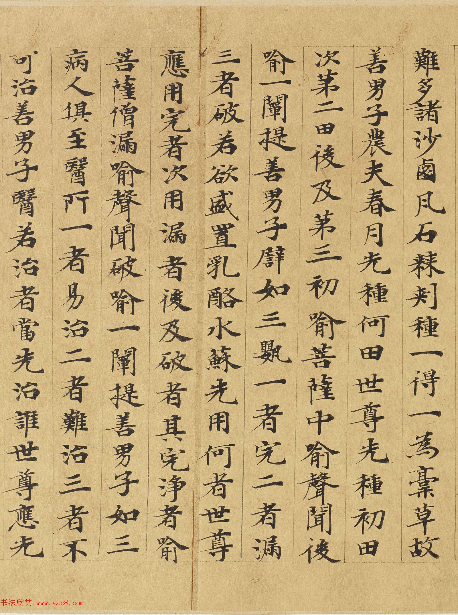 楷书高清大图欣赏《大般涅槃经迦叶菩萨品第十二》