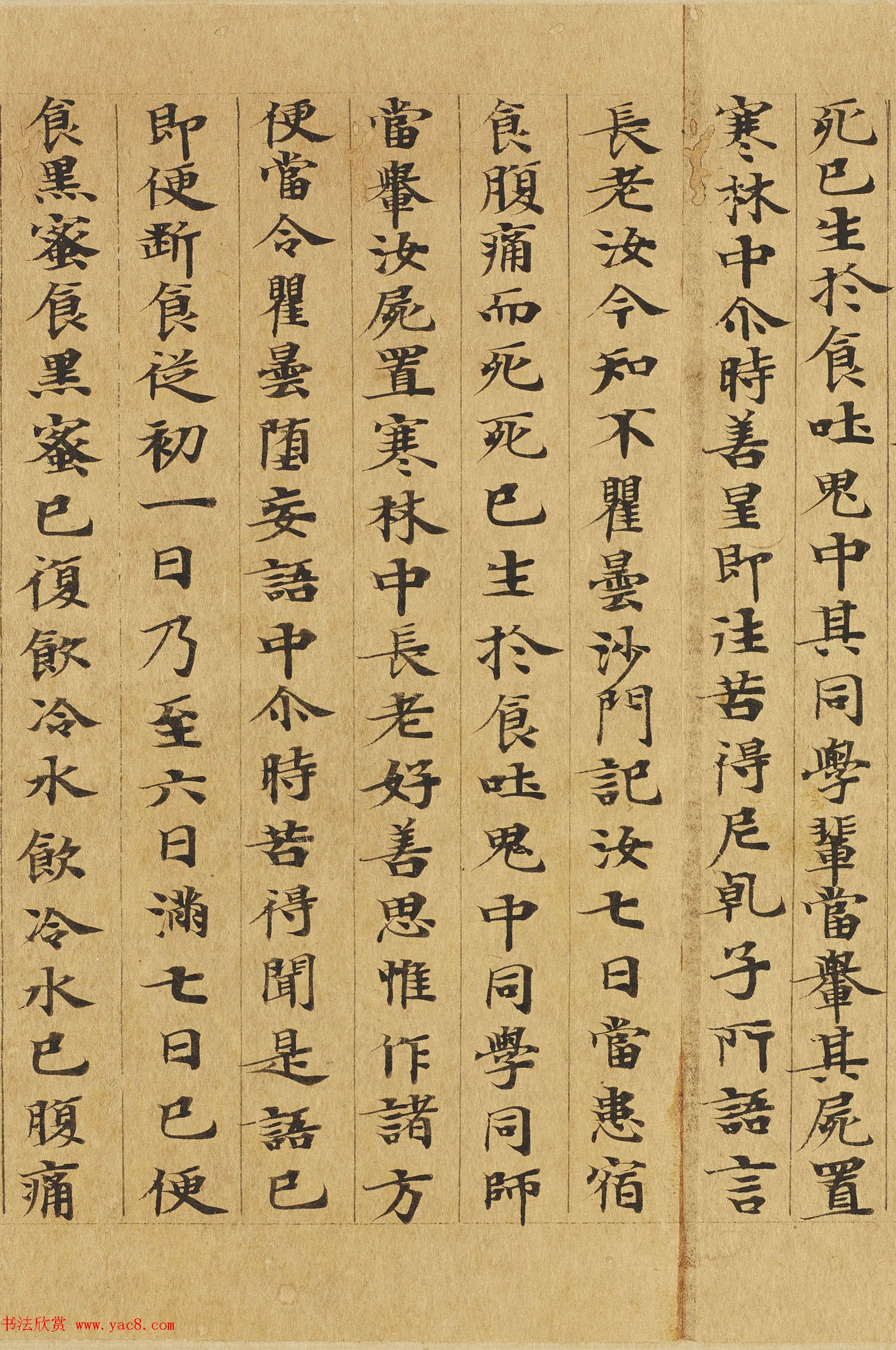 楷书高清大图欣赏《大般涅槃经迦叶菩萨品第十二》