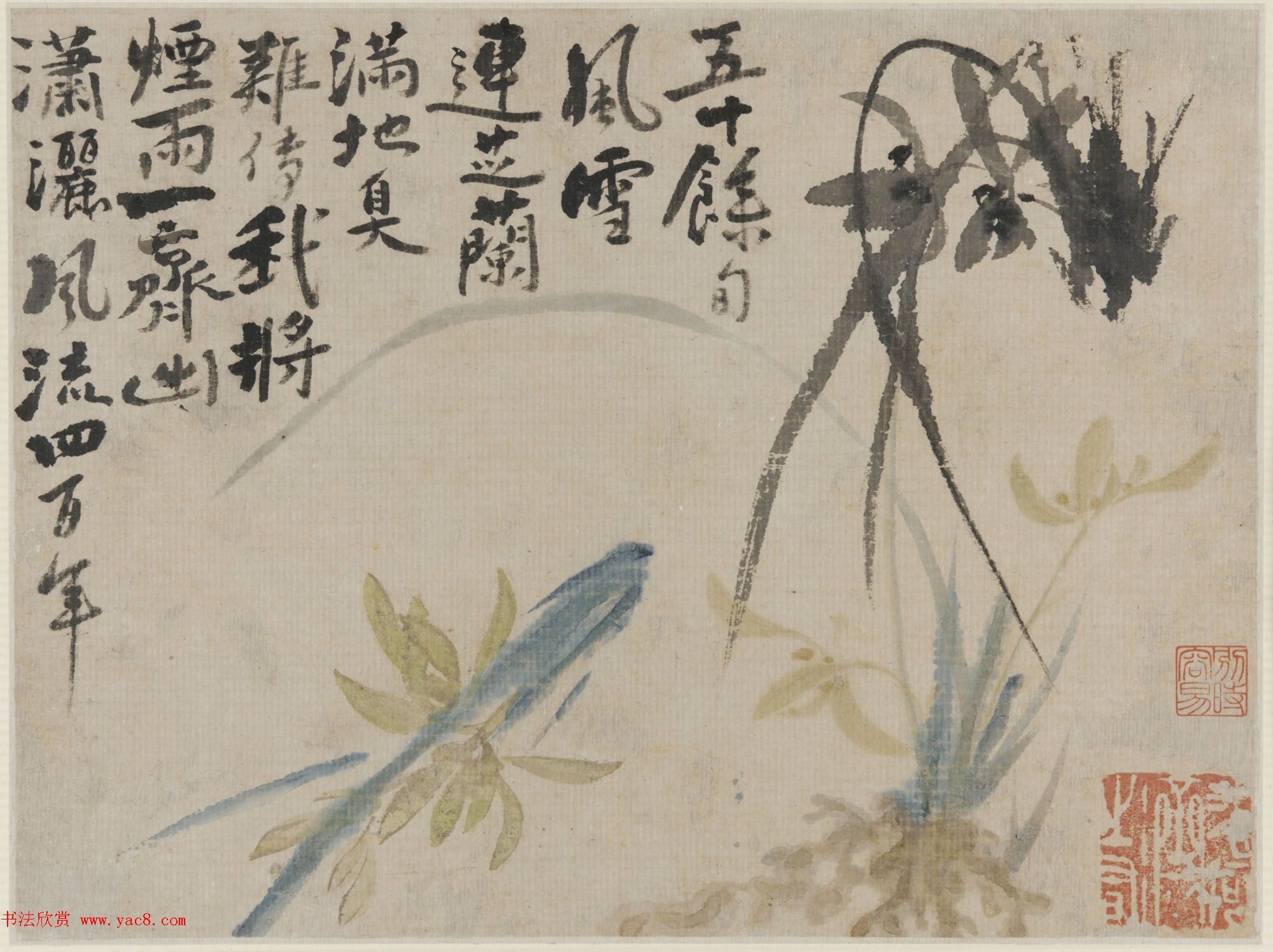 清代画家石涛花卉图册_美国弗利尔美术馆藏